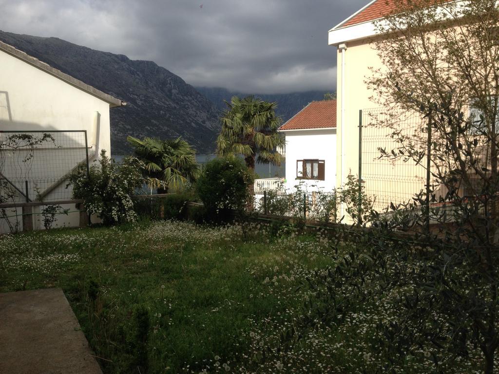 Apartments Viva La Viva Kotor Buitenkant foto