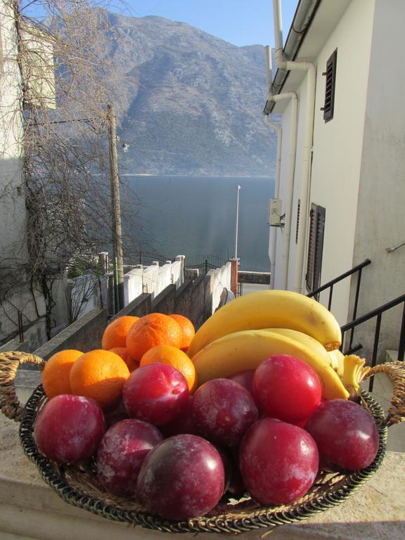 Apartments Viva La Viva Kotor Buitenkant foto